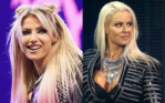 Hottest WWE Female Wrestlers