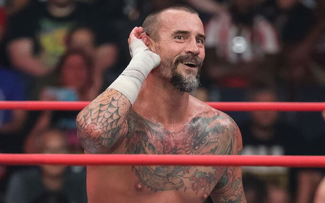 CM Punk facts