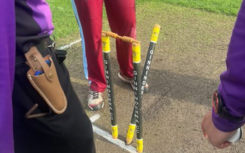 Stumps