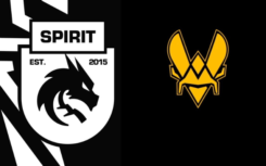 Team Spirit and Vitality